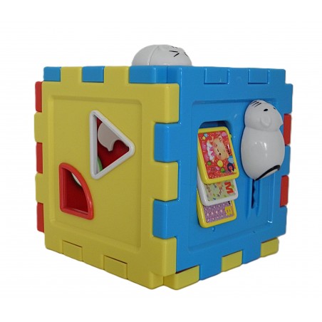 Cub educational ,Sorteaza formele