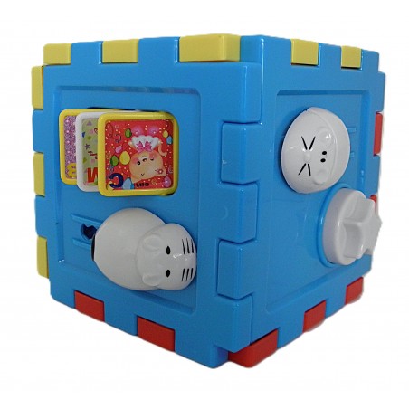 Cub educational ,Sorteaza formele