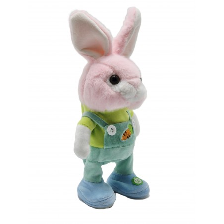 IEPURAS DANSATOR CU REDARE VOCALA