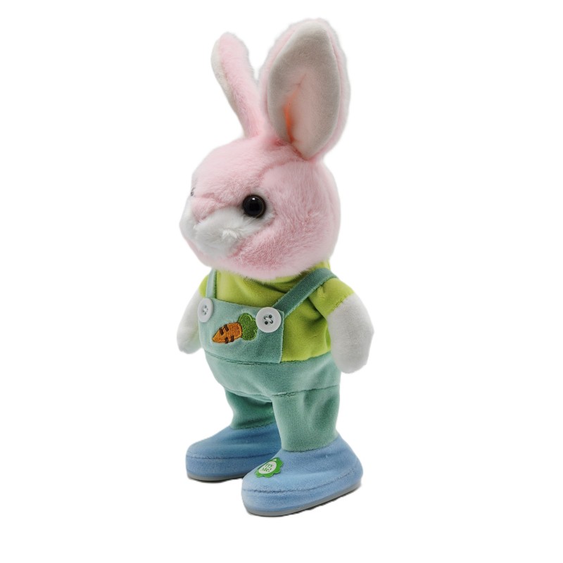 IEPURAS DANSATOR CU REDARE VOCALA