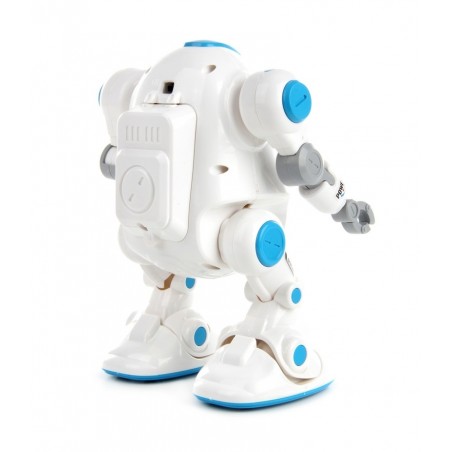 Set educativ de asamblare, Robotelul plimbaret